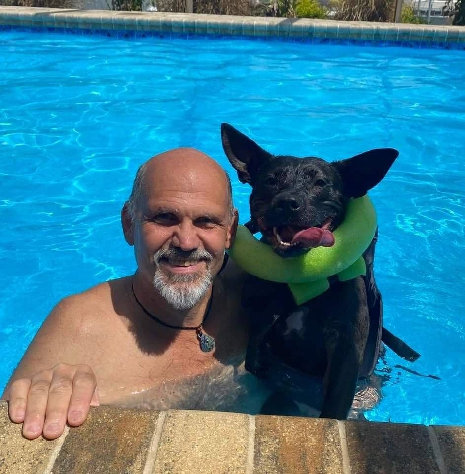 Daisy in a life vest swimming with Dr. Russ.